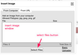 How to Add a Picture from your PC or Laptop (revised) | NAWCC Forums